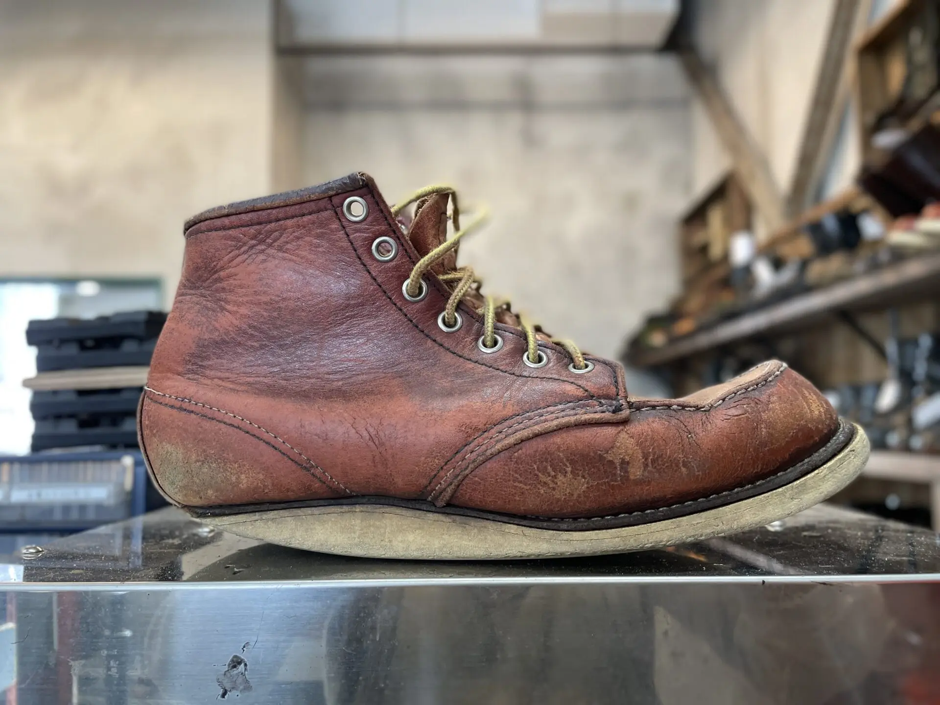 80s REDWINGレッドウイング 875 犬タグ アイリッシュセッター